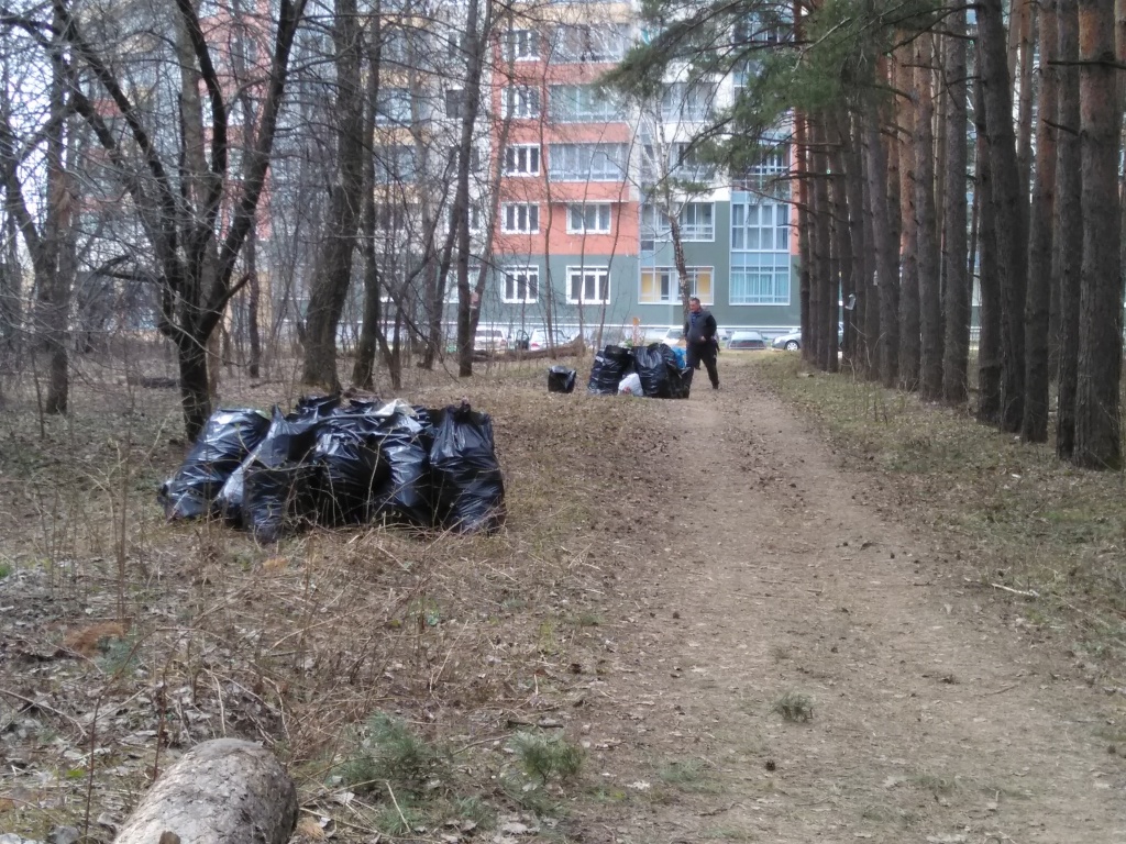 просека.jpg