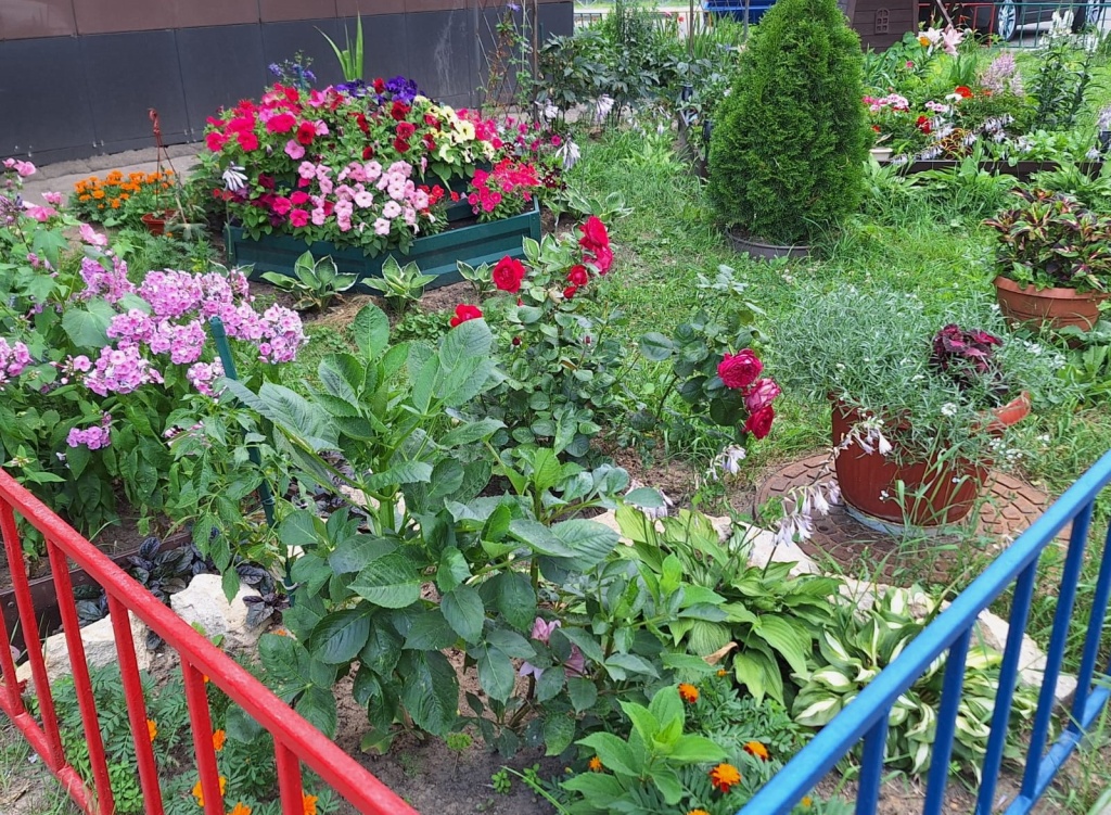 цвет6.jpeg цвет6.jpeg