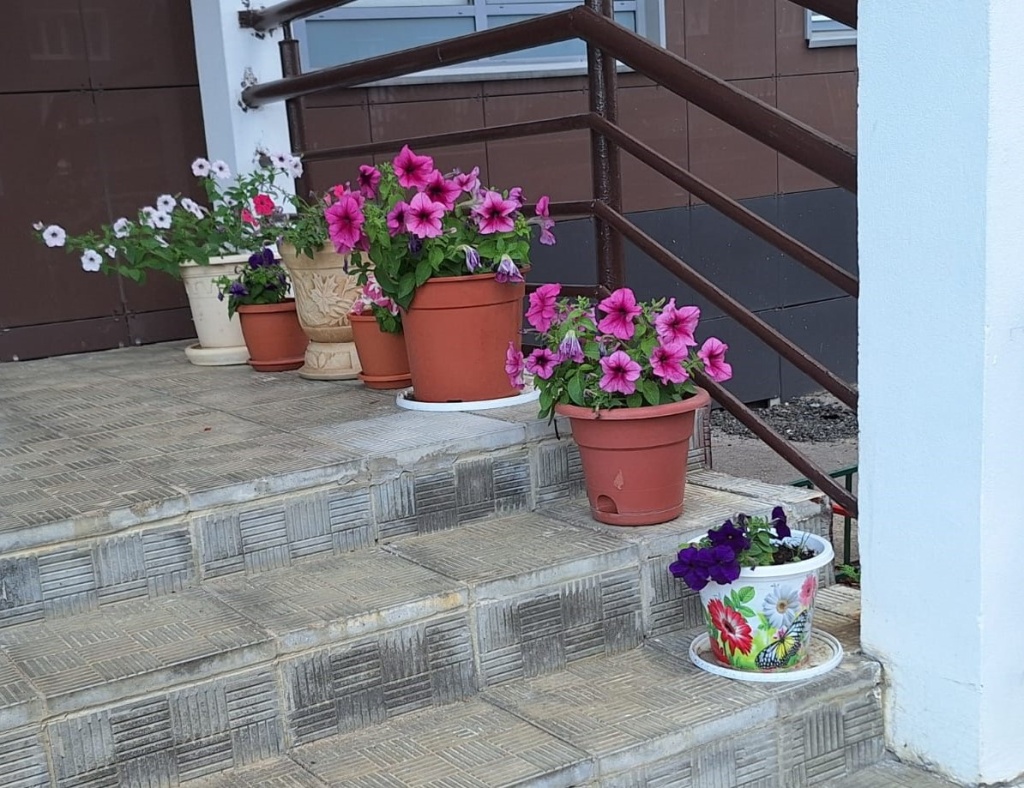 цветы5.jpeg цветы5.jpeg